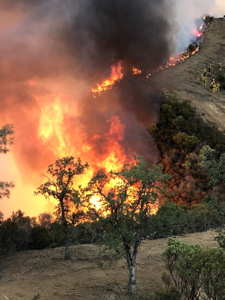 forest fire