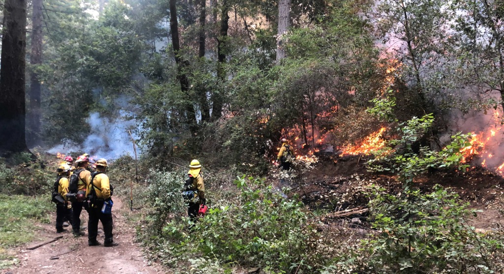 forest fire